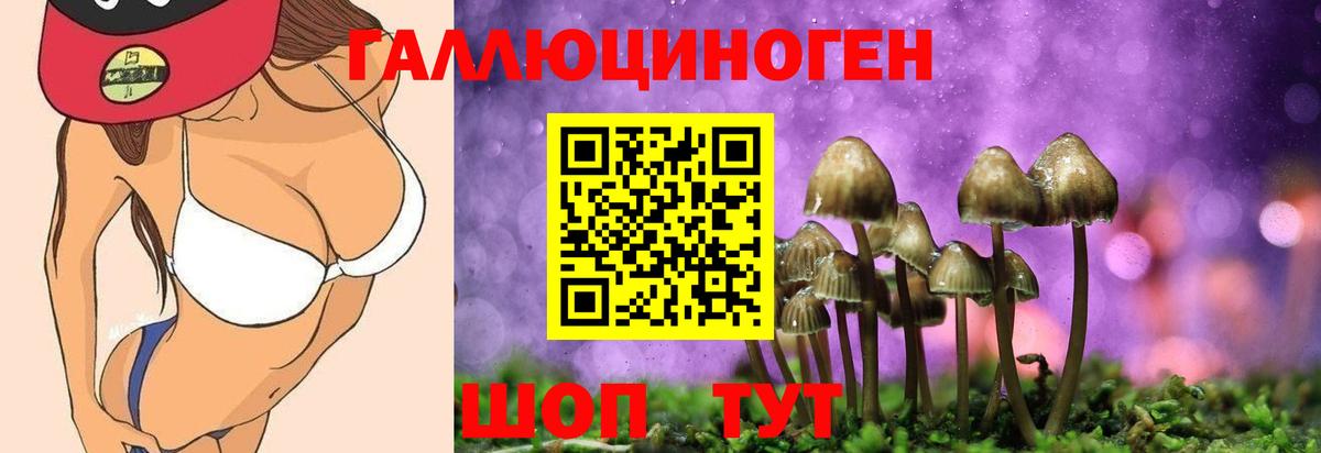 Галлюциногенные грибы прущие грибы Ликино-Дулёво